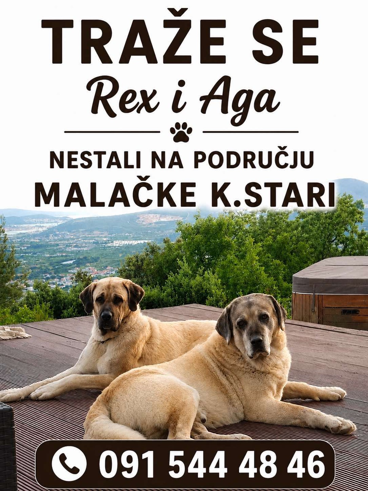 Nestala dva psa u Kaštelima, vlasnica u potrazi
