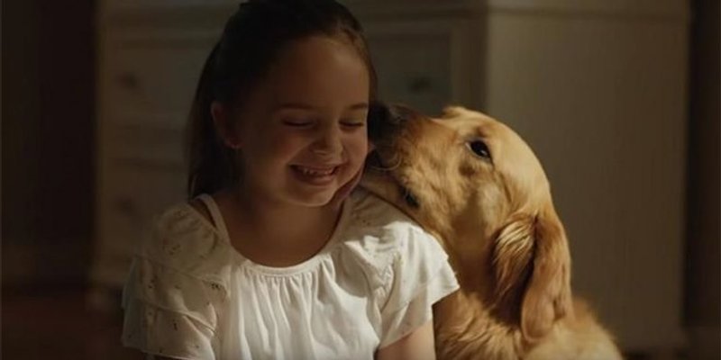 Ulaznice za film 'Nevjerojatan život psa Enza' osvojila je...