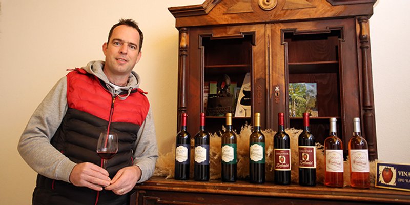 DOMOVINA CRLJENKA Žanići svoja vina proizvode na tradicionalan način, onako kako su učili od svoga oca