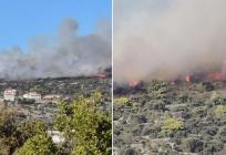 FOTO/VIDEO Planulo u Sevidu