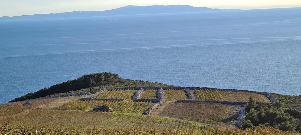 INSPIRATIVNA PRIČA Nadomak Splita niče investicija od 15 milijuna eura 