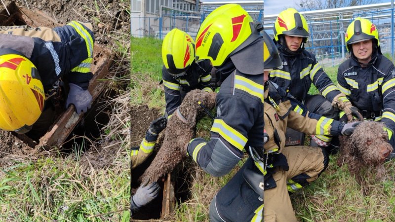 I JUDE I ZVIRI: Uz sve 'ludilo' nakon nevremena, zagrebački vatrogasci spašavali i psa