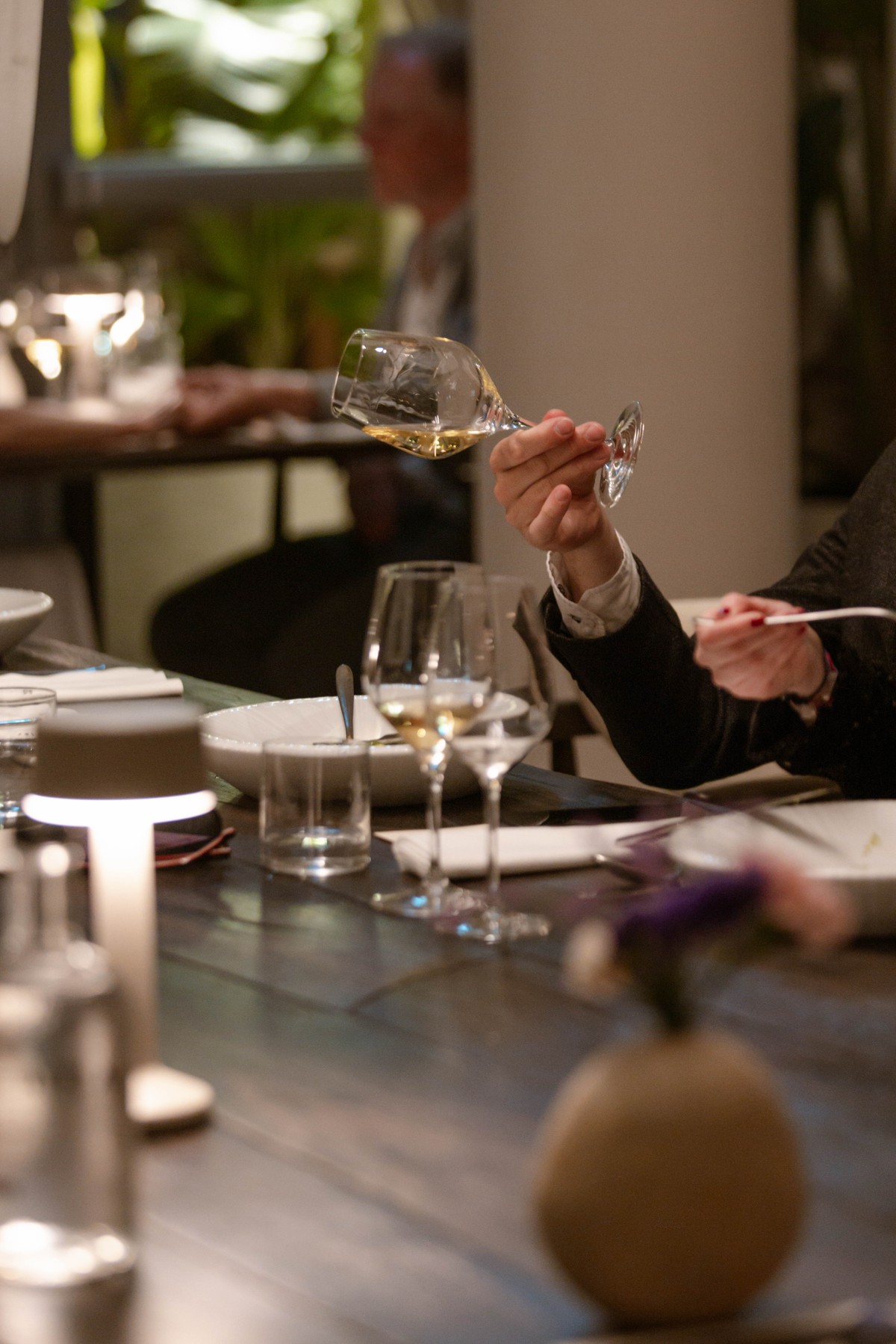 VEČER VINA I OKUSA: U petak u Ambasadoru gostuje šibenska Vinarija Baraka