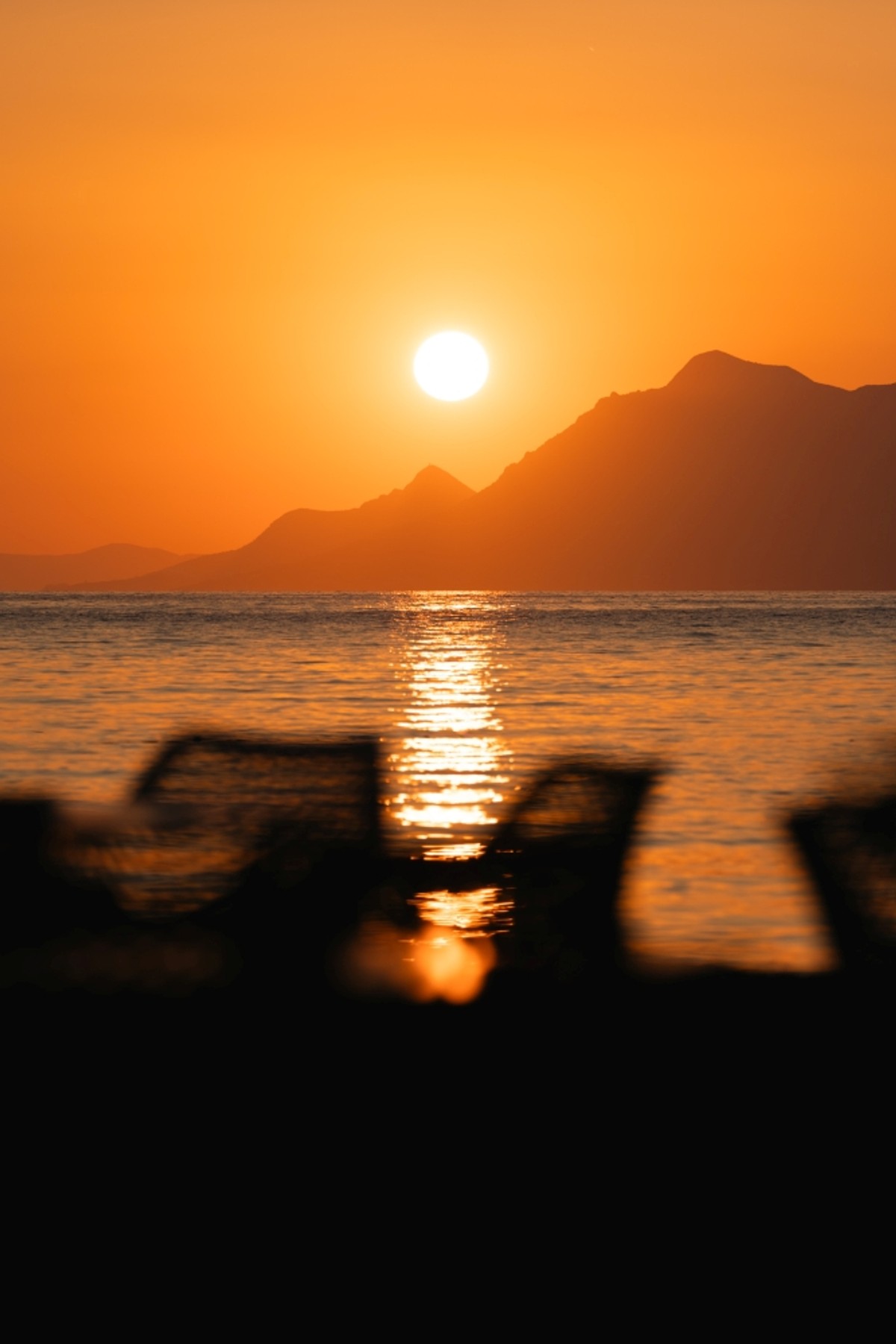 Makarana | Foto: Filip Popović