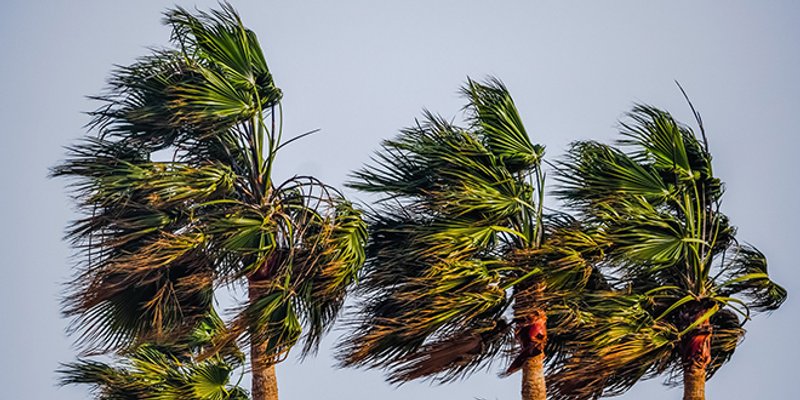 Na Jadranu danas snažna bura