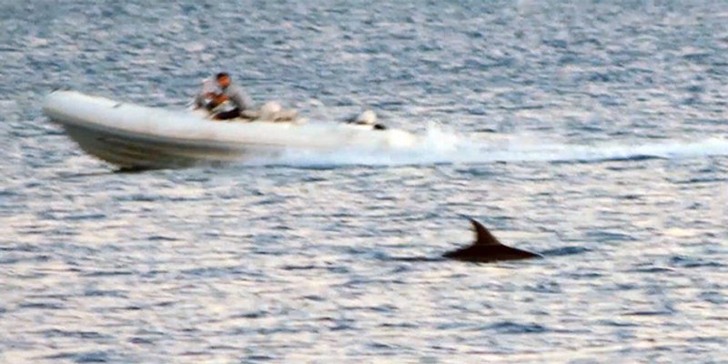 VIDEO Zanimljiva snimka iz Splita