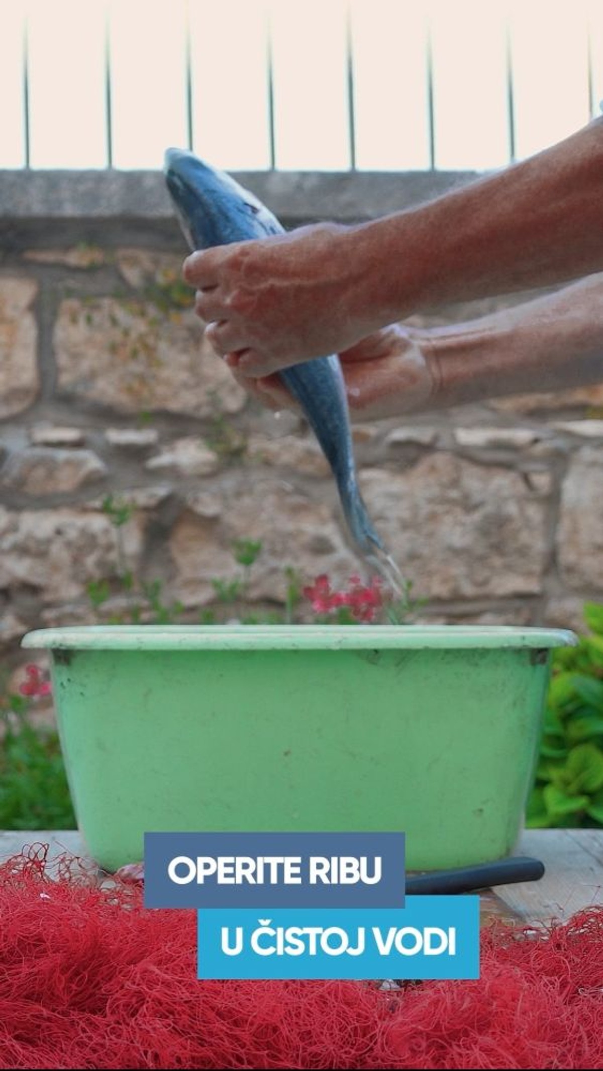 Čišćenje svježe ribe