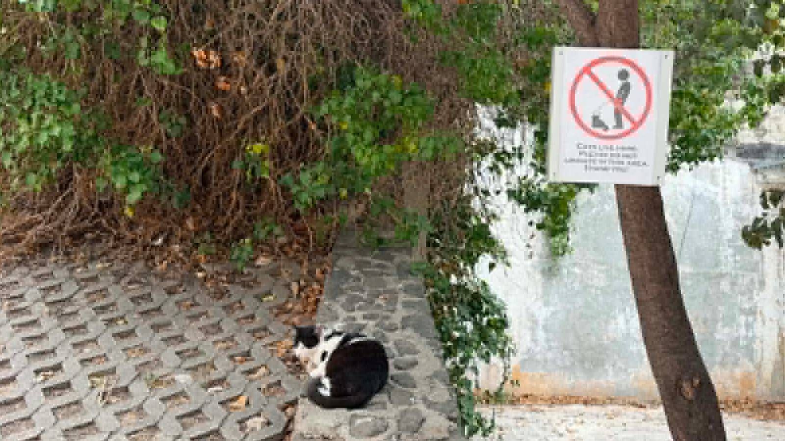 Splićani pijanim gostima poslali zanimljivu poruku