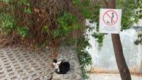 Splićani pijanim gostima poslali zanimljivu poruku