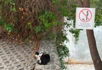 Splićani pijanim gostima poslali zanimljivu poruku