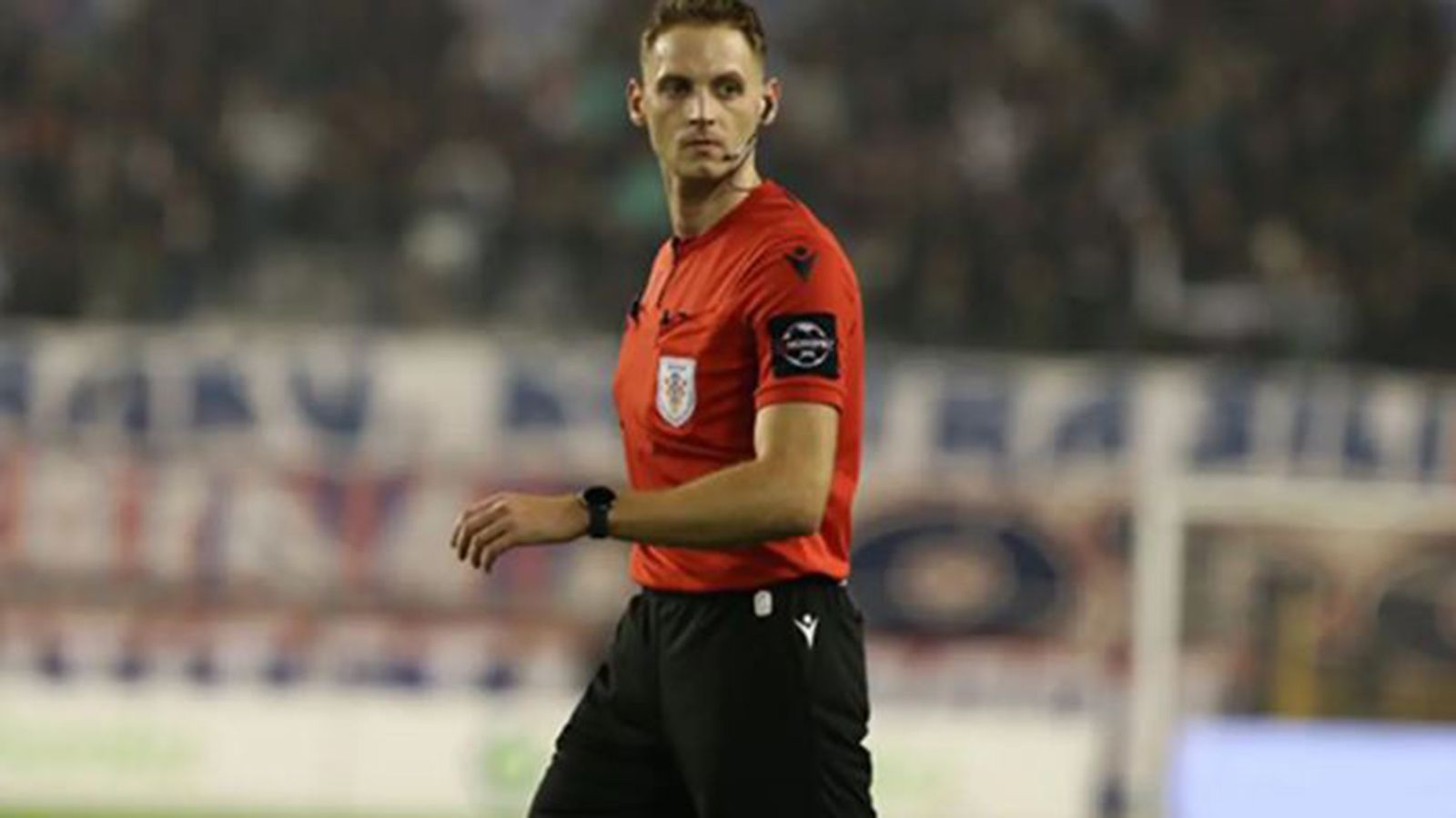 Pavlešić