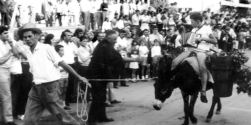PRIČA O DANIMA GROŽĐA Od prvog vinskog podruma do današnjih proslava 