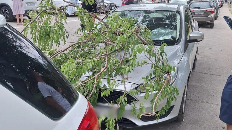 Slabija bura bila je dovoljna: Velika grana pala na automobil na Zvončacu