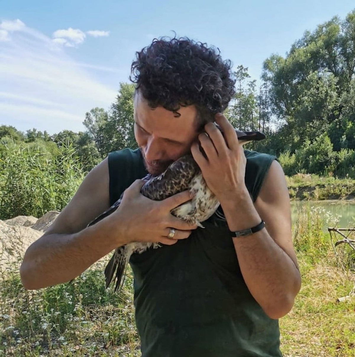 Jedinom oporavilištu za galebove prijeti zatvaranje, Ornitološki laboratorij treba pomoć