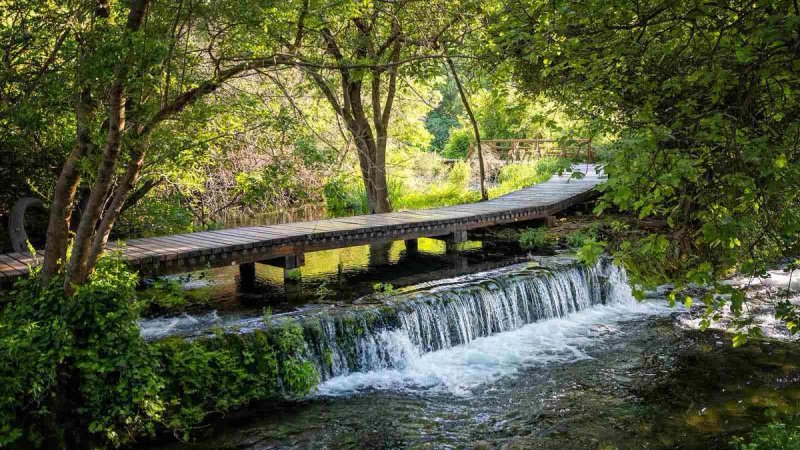 Nacionalni park Krka poziva na Šumsku radionicu u povodu Svjetskog dana šuma