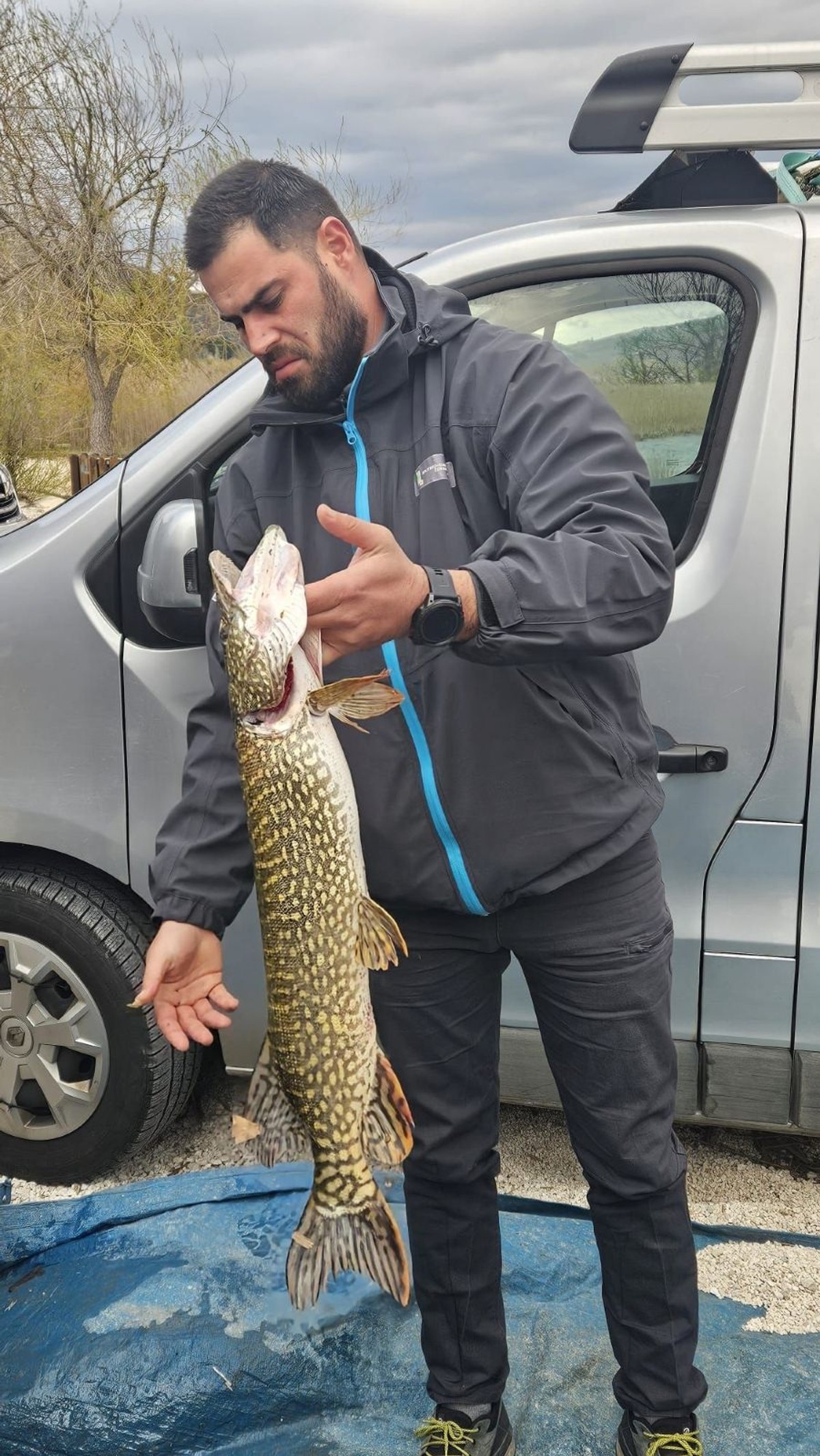 FOTO Ove su ribe prijetnja bioraznolikosti jadranskih rijeka