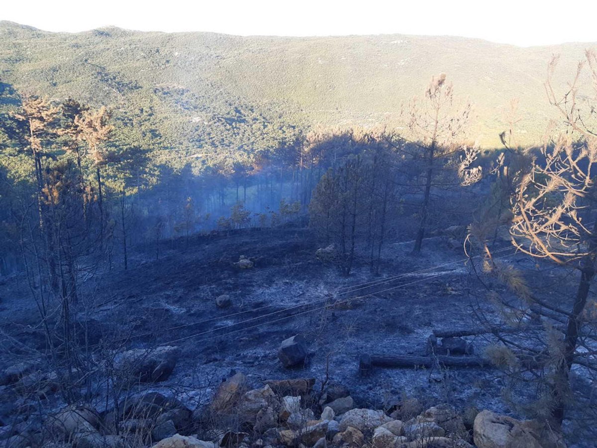 Požar kod Muća i dalje je aktivan