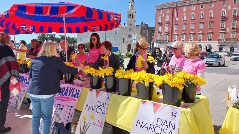 Dan narcisa i ove će se godine obilježiti na splitskoj Rivi: 'Karcinom dojke najčešći je oblik ove zloćudne bolesti'