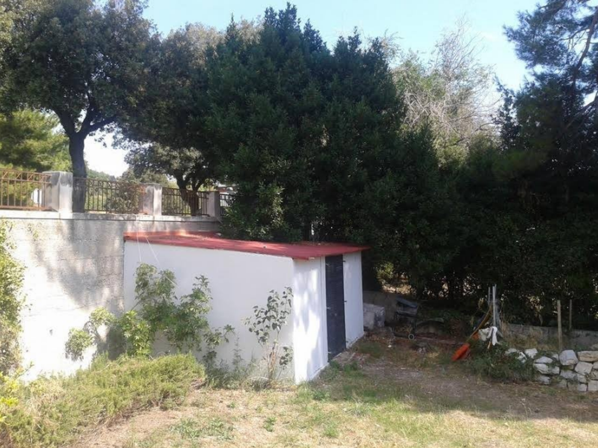 DRUŠTVO MARJAN 'Neshvatljivo i apsolutno neprihvatljivo postupanje pročelnika Konzervatorskog odjela u Splitu Radoslava Bužančića'