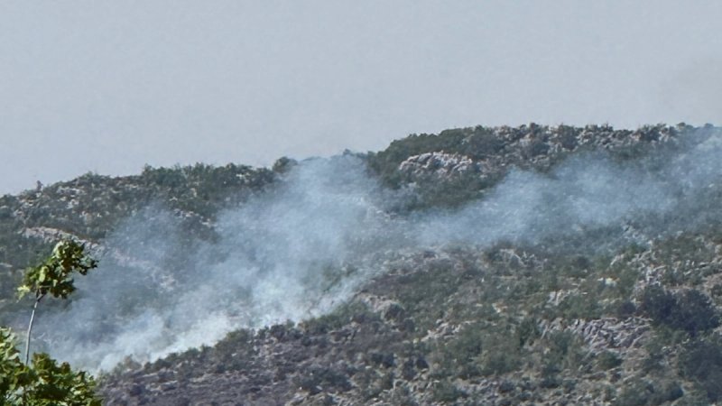 U Niskom na području Klisa gori trava