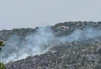 U Niskom na području Klisa gori trava