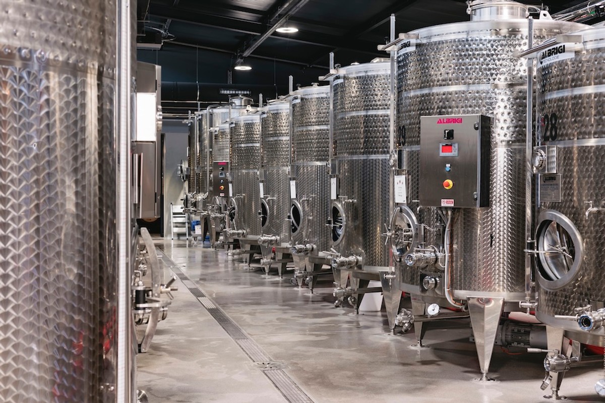 FOTO Vinarija Markus odradila je prvu berbu na Šolti: Kadrovi su impresivni