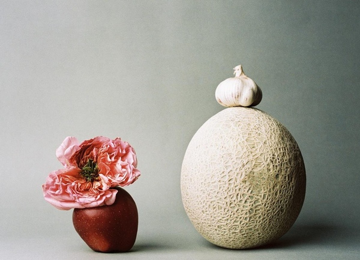 ANĐELA VIDIĆ: Ravnoteža privida