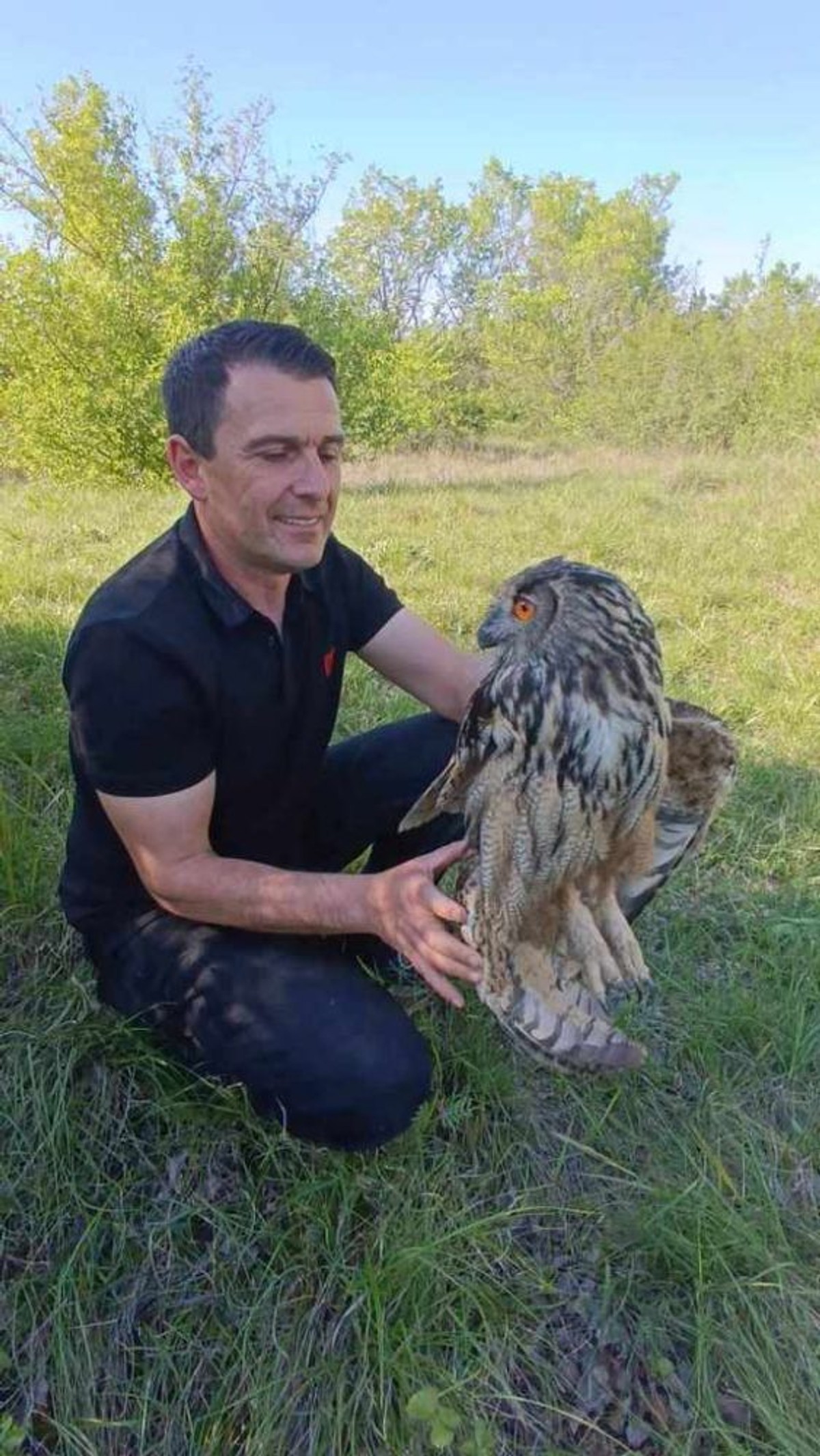 Sova | foto: Marko Ledenko Mane