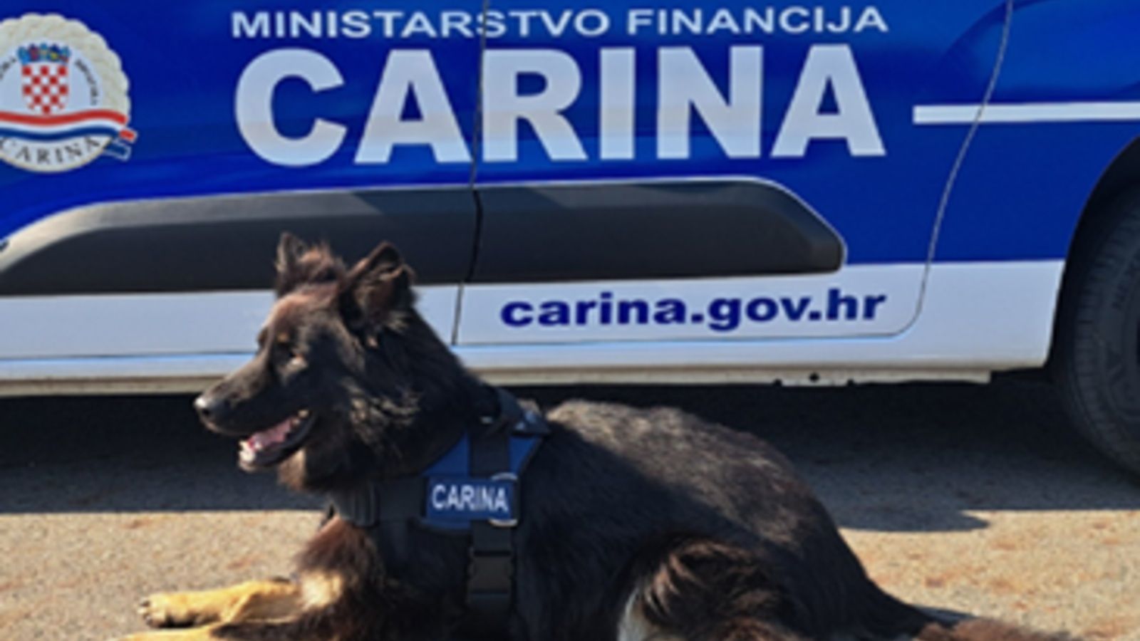 NOVA PRAVILA NA GRANICI: eObračun carinskih davanja u putničkom prometu