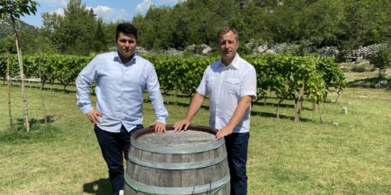 PRANIĆ UPOZORAVA: Vinarstvo i vinogradarstvo, najvažnije poljoprivredne grane u Dalmaciji, su na koljenima