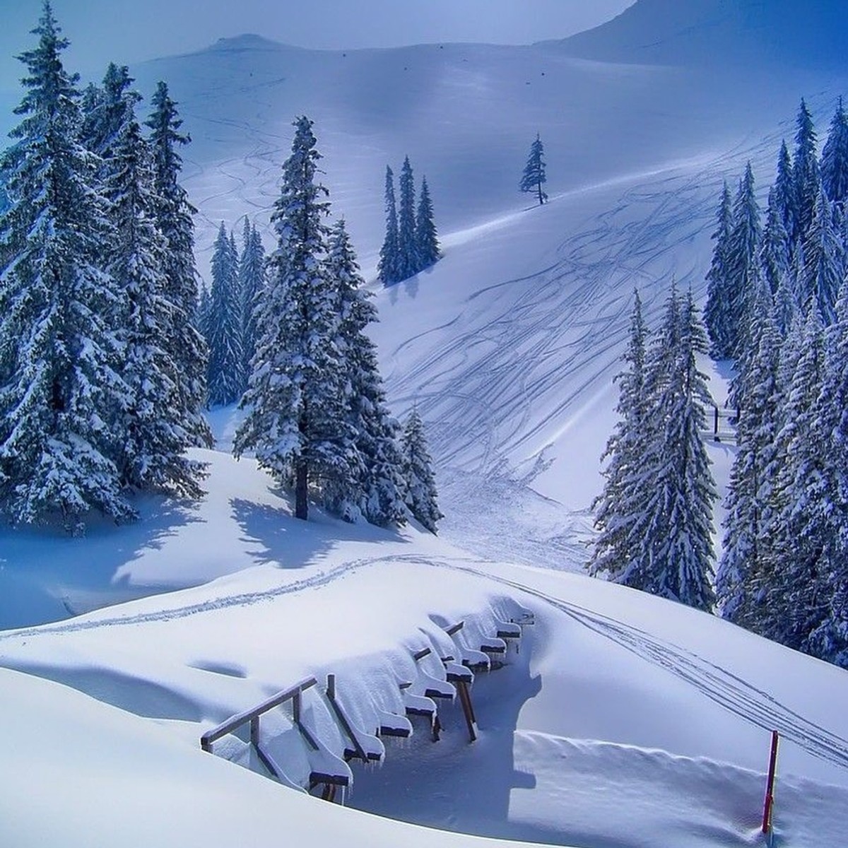 Jahorina