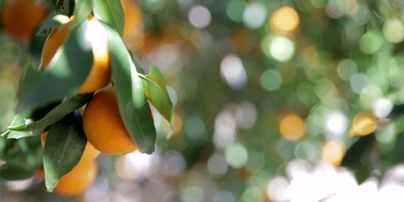 Nude dnevnicu od 300 kuna dnevno, ali radnika nema