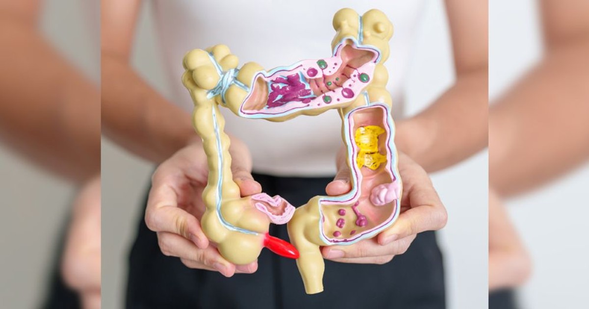 Svjedočanstvo džudaša Mladena Đergovića – ulcerozni kolitis, upalna bolest crijeva i djelovanje Probinulina