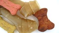 U jednoj grickalici za pse otkrivena salmonela