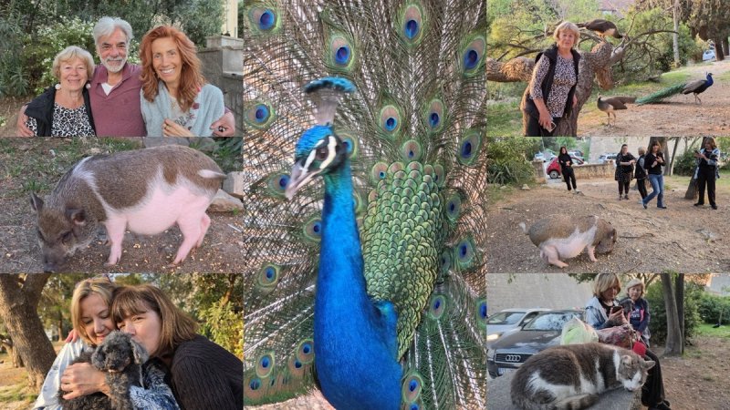 FOTO/VIDEO Ljubitelji životinja okupili se kraj Tvrđave Gripe