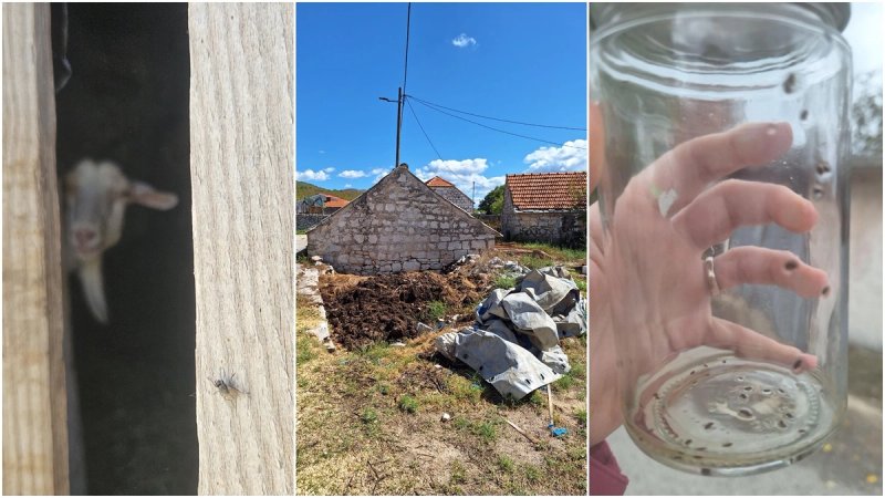 Grizu ih već dvije godine, prijave se gomilaju. Provjerili smo što se događa u zaleđu Omiša 
