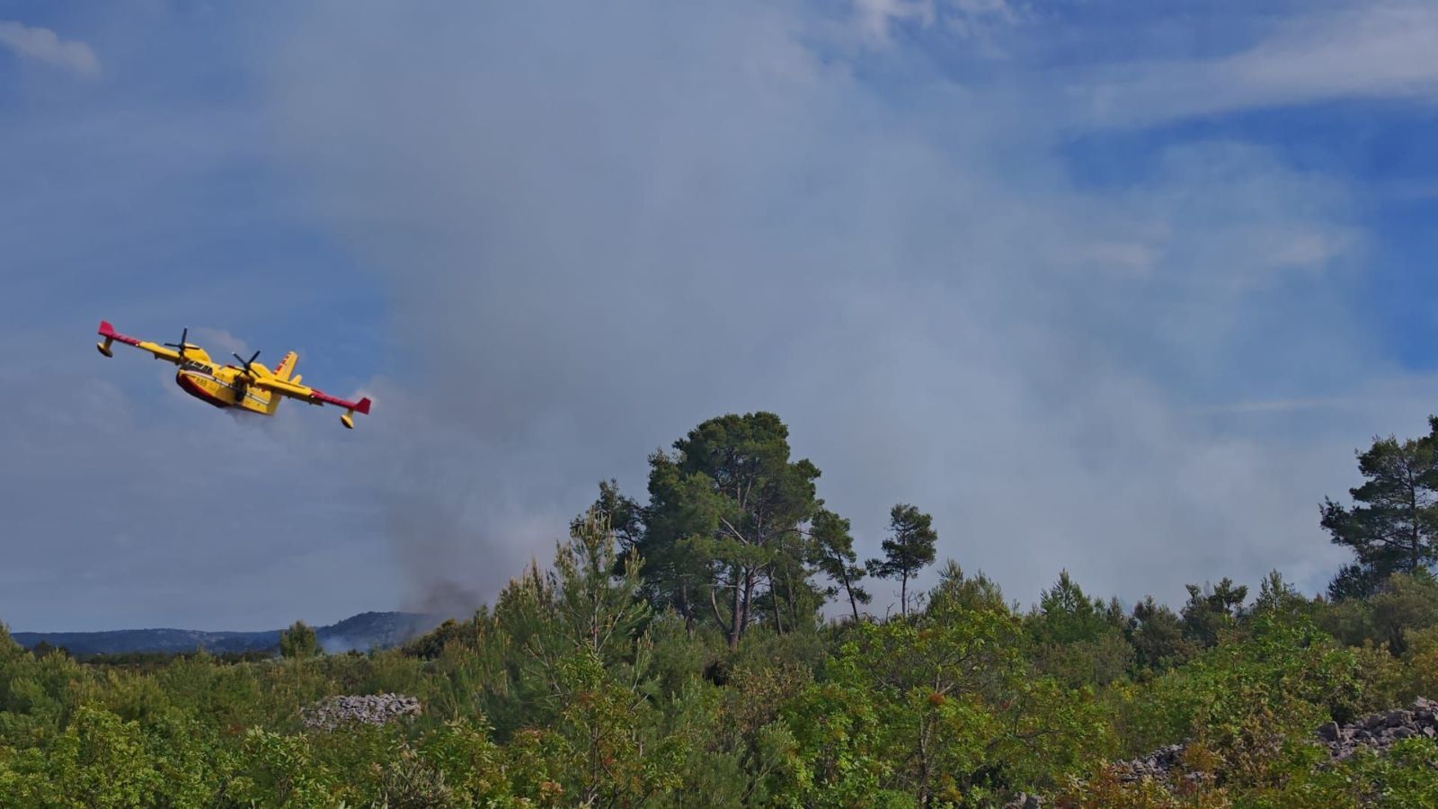 Požar na Braču, gori borova šuma