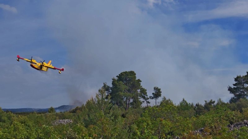 Požar na Braču, gori borova šuma