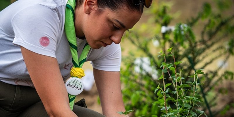 Posađena je prva hrvatska Crošnjica: Šumica od 40 različitih biljnih vrsti