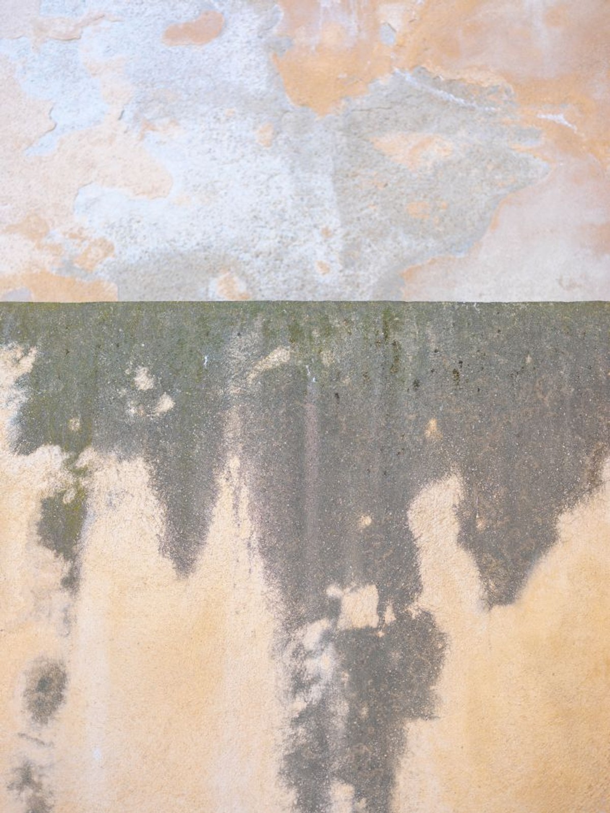 GALERIJA STUDIO - 21: Izložba 'Drom' Darka Škrobonje