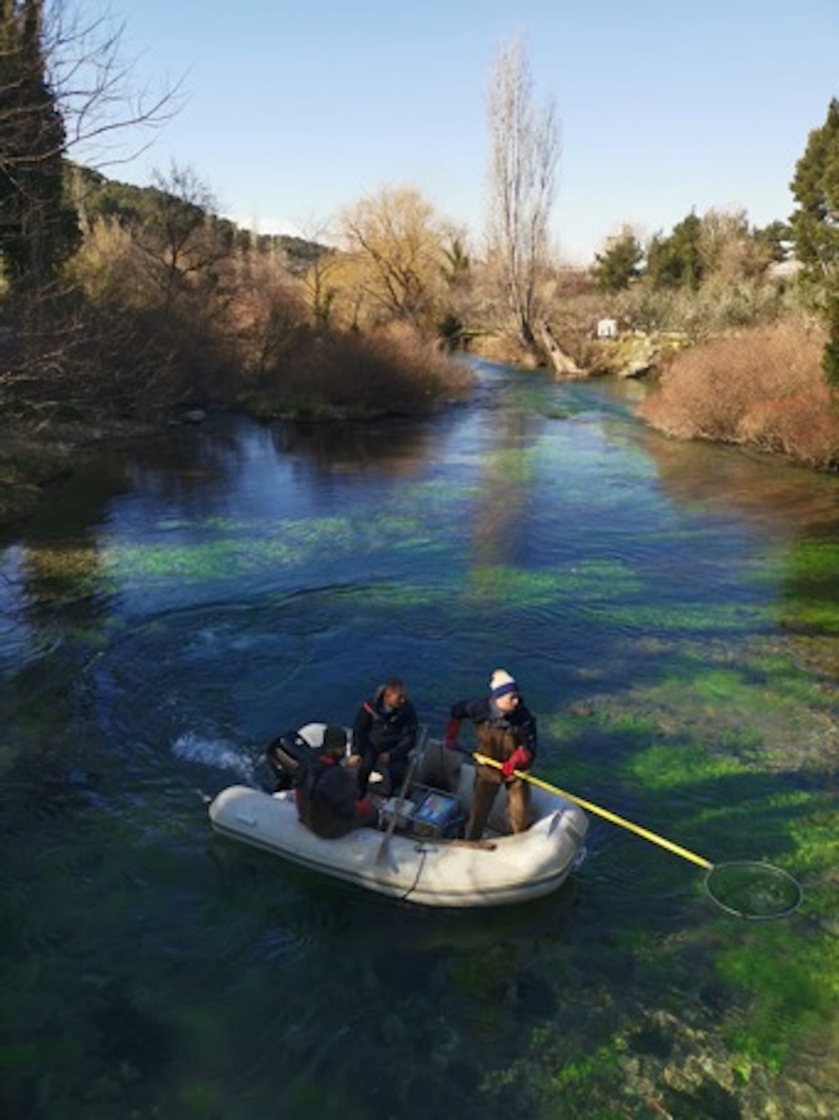 FOTO/VIDEO Strane vrste u Jadru i Vrljici
