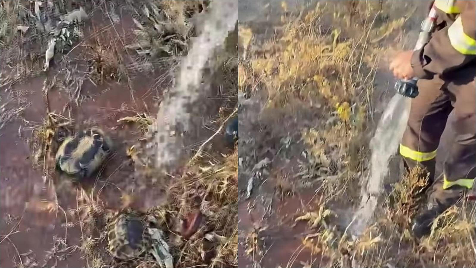 VIDEO Vatrogasci pokušali pomoći onima na koje mnogi ni ne pomisle