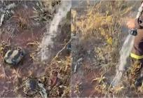 VIDEO Vatrogasci pokušali pomoći onima na koje mnogi ni ne pomisle