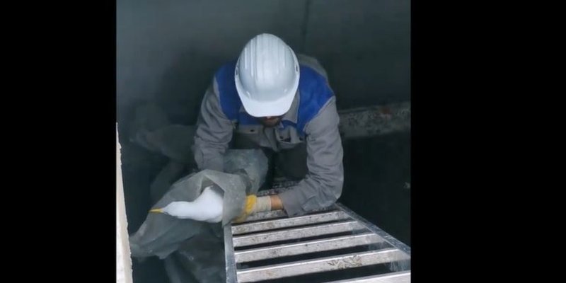 VIDEO Radnici splitskog škvera spašavali galeba