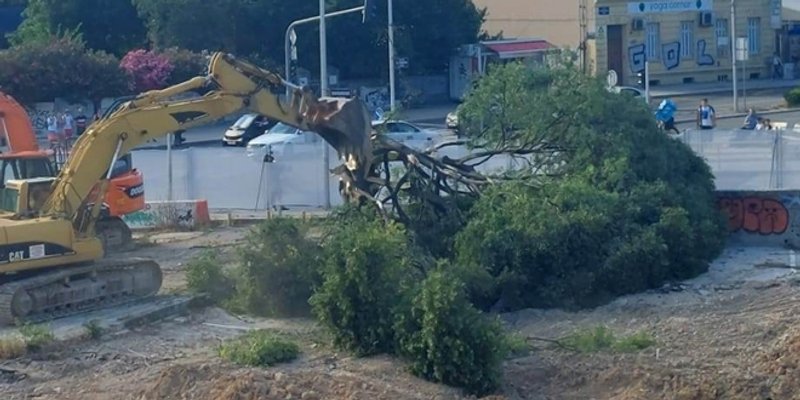 VIDEO Pogledajte kako su na gradilištu Small Malla uklonili veliku pelegrinku