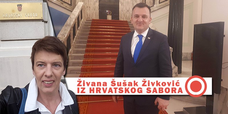Petar Škorić prvi put opširnije objasnio zašto se protivi ratifikaciji Istanbulske konvencije