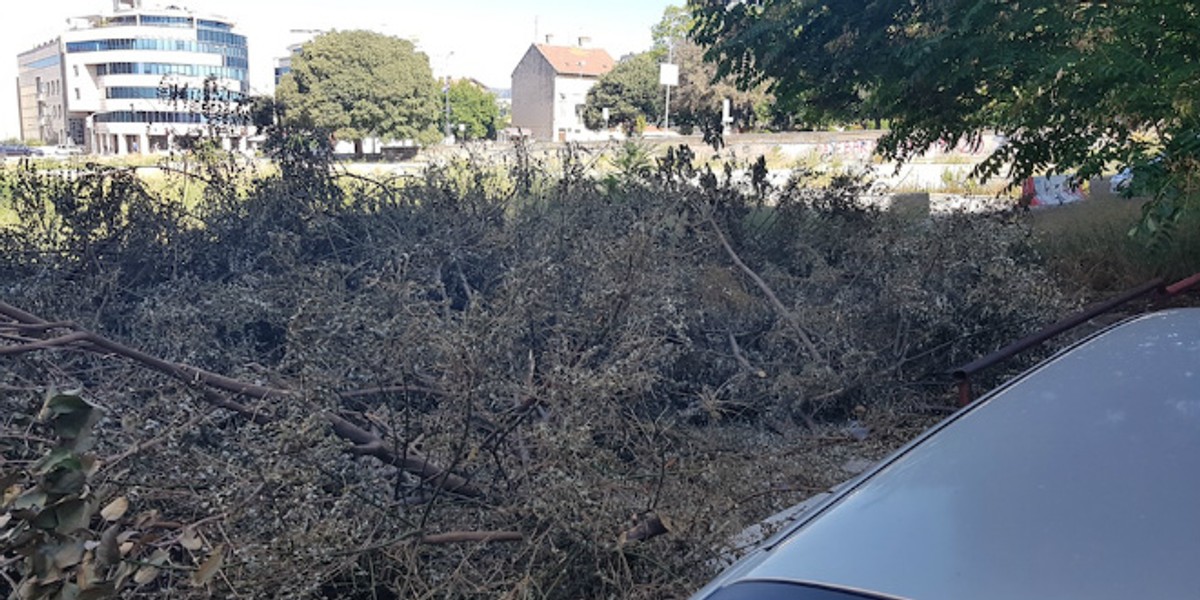 UPOZORENJE ČITATELJA Dovoljno je da netko baci opušak i imat ćemo opasan požar u centru Splita!