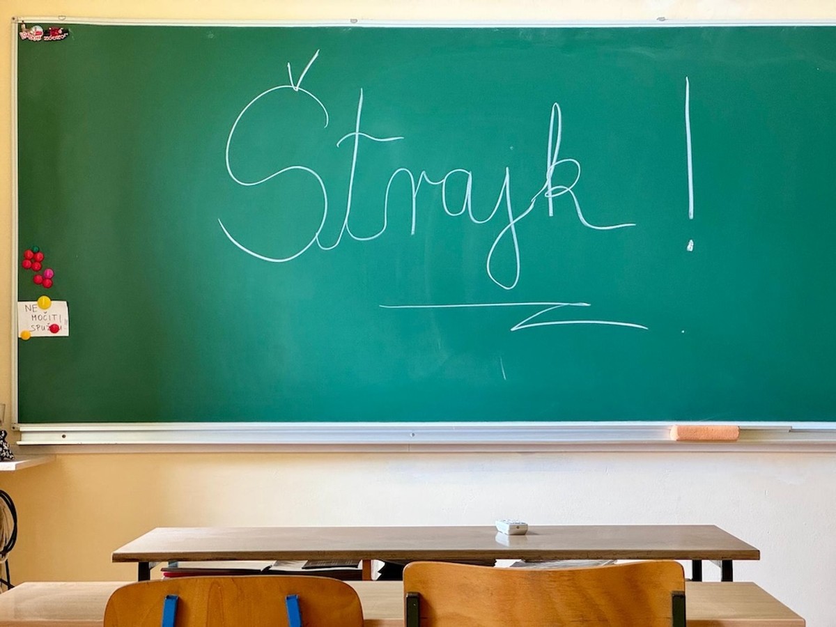 Štrajk u školama | foto: Veljko Martinović