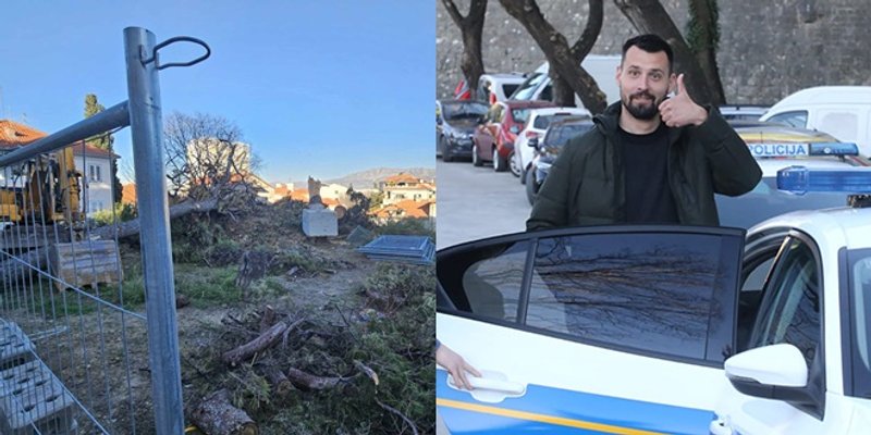 IVOŠEVIĆ: Kako SAD postupa prema teroristima, tako ćemo i mi prema gospodinu koji je ilegalno posjekao stablo