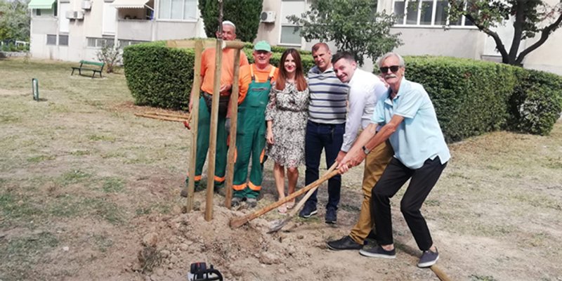 Kotar Bol pokrenuo ekološku akciju 'Trebam stablo, sadim stablo'
